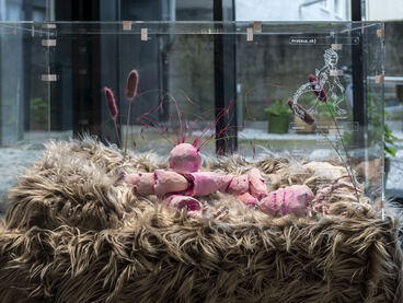 Multispecies Studio: Amelie Vierbüchen
