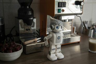 Galeriebild des Projekts Robin – Wie technologische Systeme zur Erosion von individueller Autonomie und Meinungsbildung beitragen