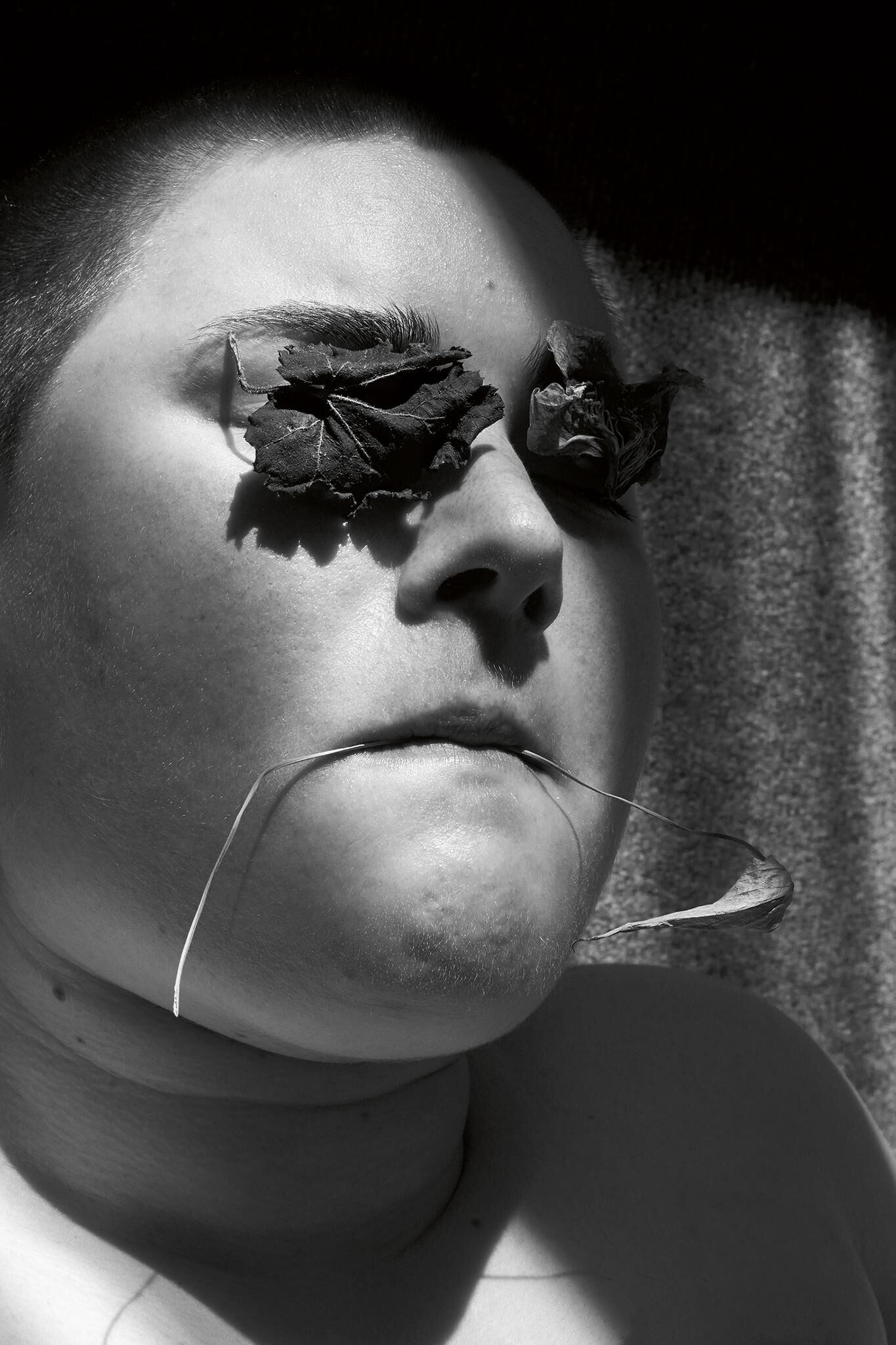 Galeriebild des Projekts Innenleben