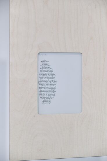 Galeriebild des Projekts Archives & Butterflies