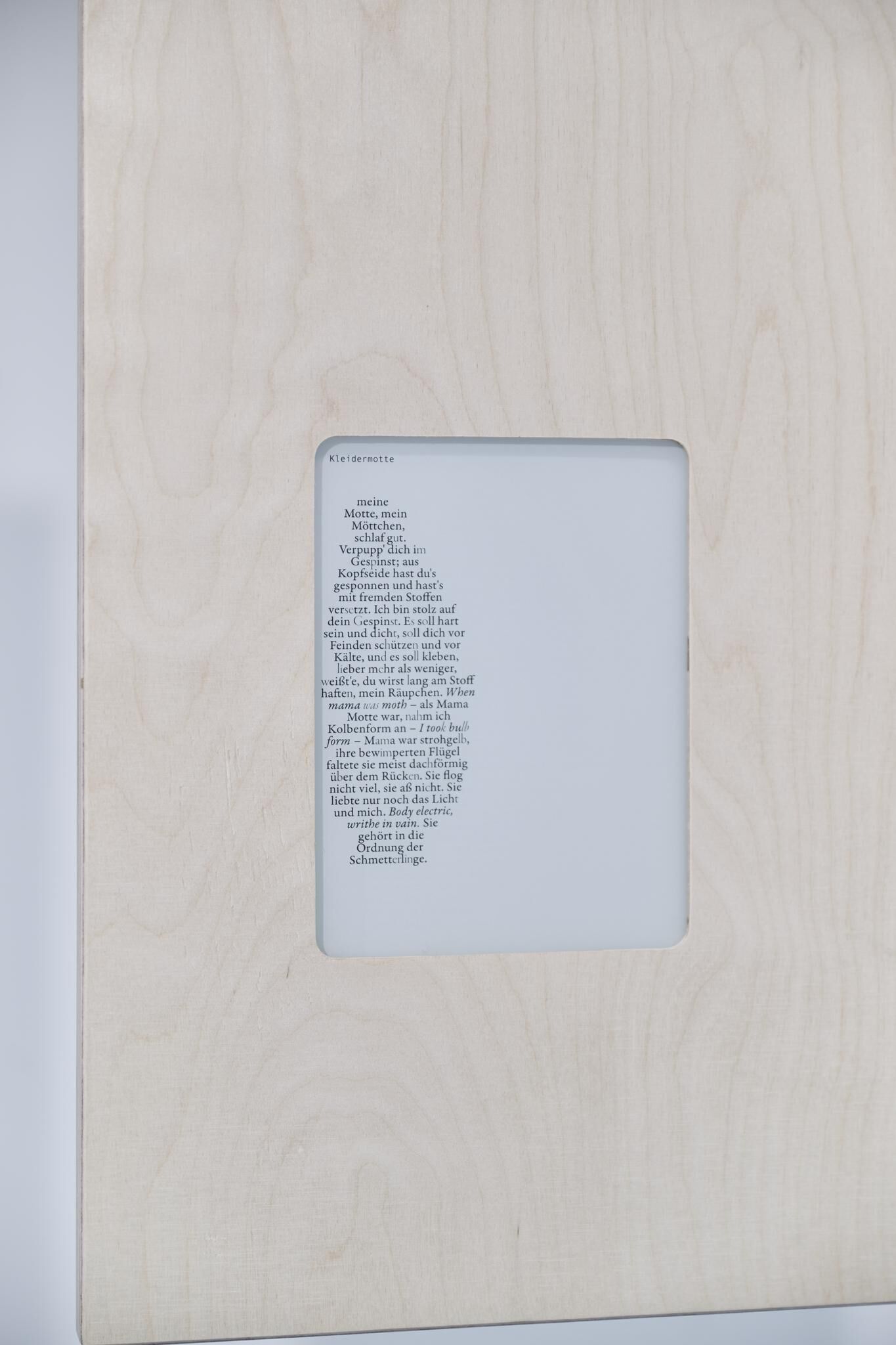 Galeriebild des Projekts Archives & Butterflies