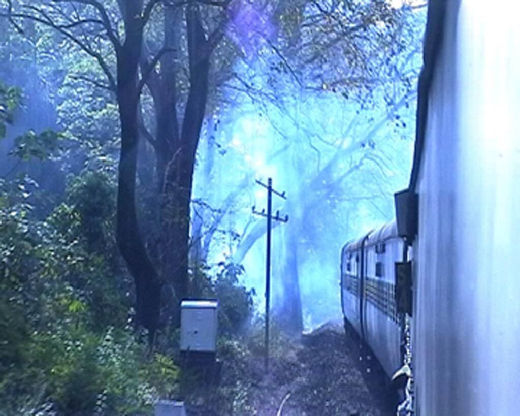 Galeriebild des Projekts travelling polaroids