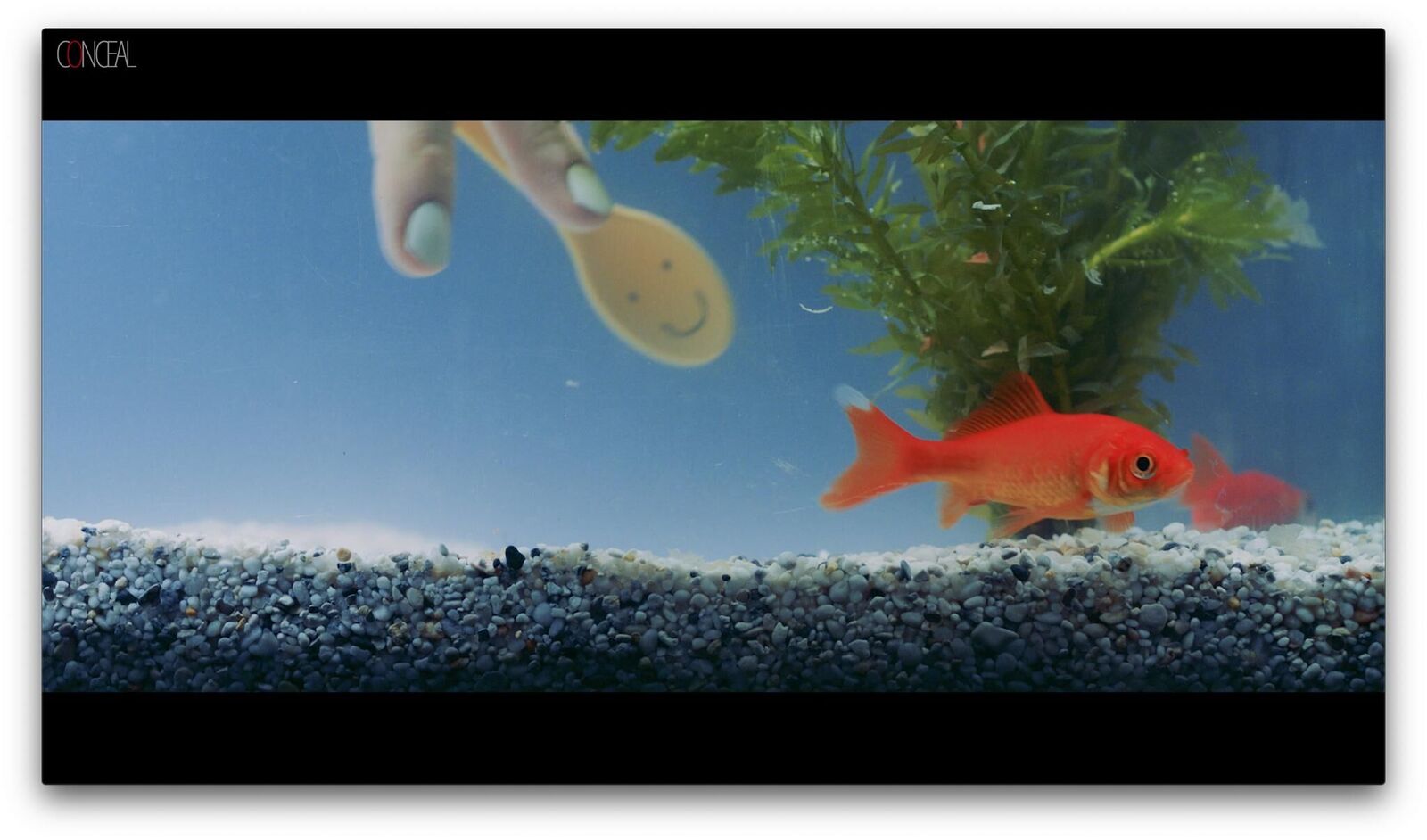 Titelbild des Projekts cOnceal