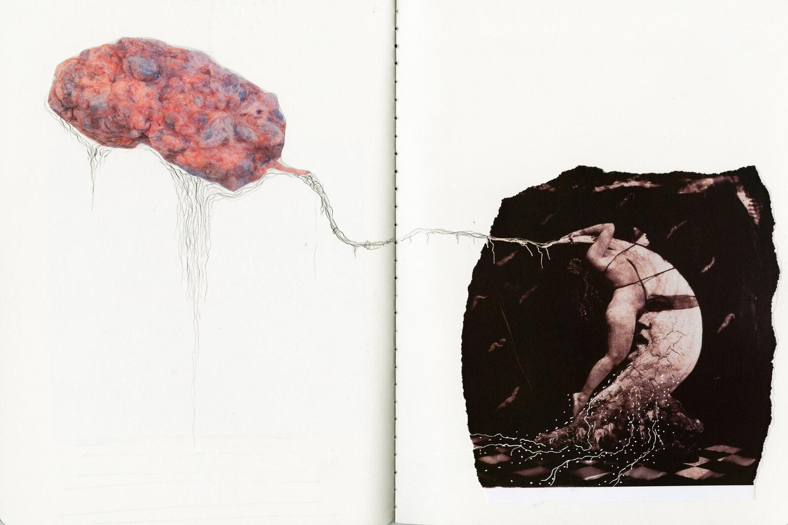 Galeriebild des Projekts Su:um, Dari