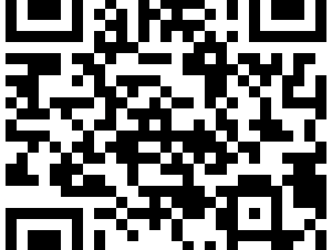 QR-Code, Benita Maris, Informationskrieg