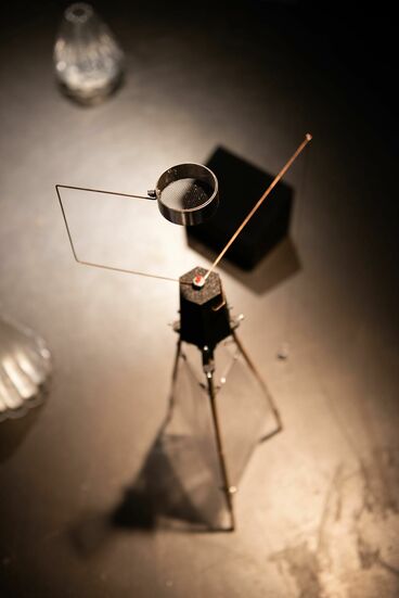 Pasajera Nocturna Galeriebild des Projekts Pasajera Nocturna