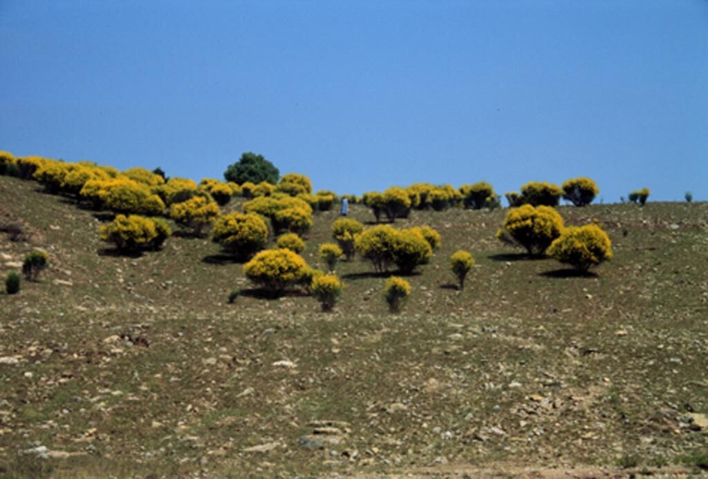 Titelbild des Projekts Go (down) Mary! 