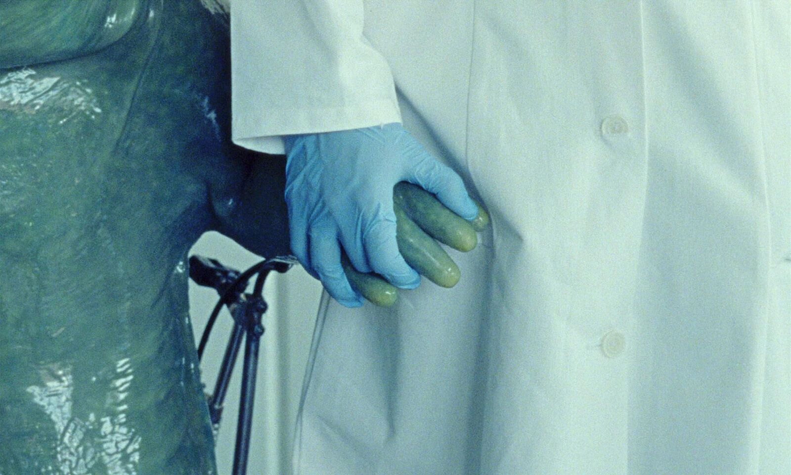 Titelbild des Projekts Der Molchkongress