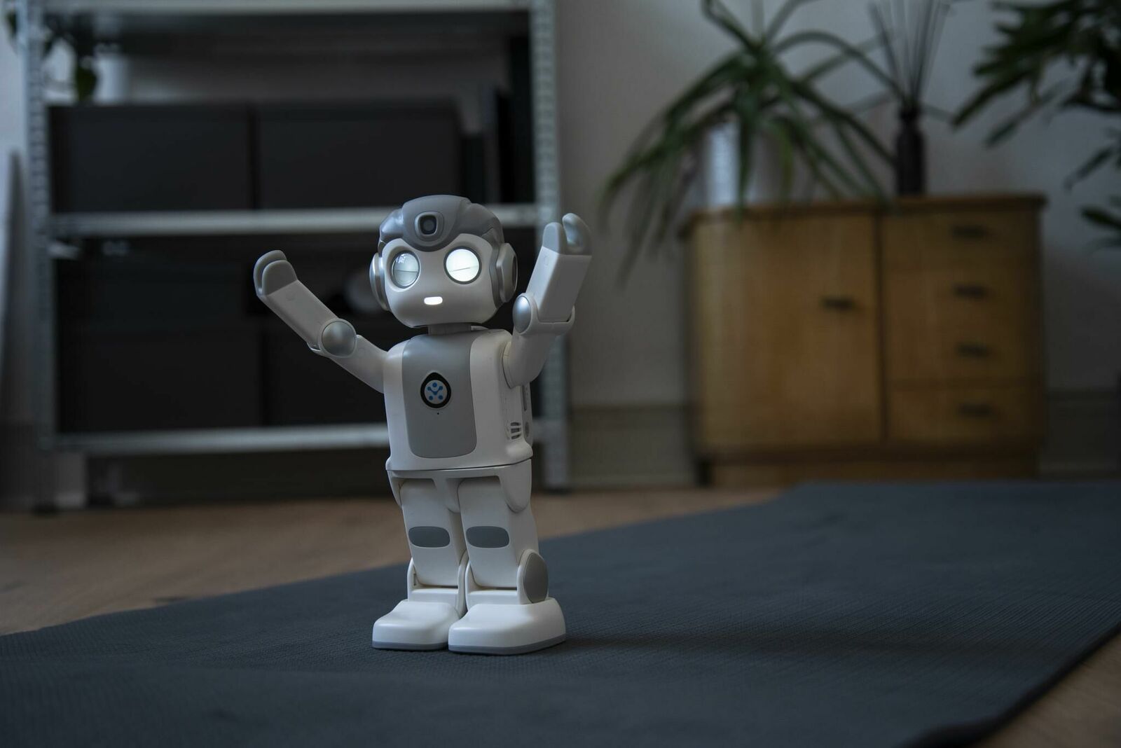 Galeriebild des Projekts Robin – Wie technologische Systeme zur Erosion von individueller Autonomie und Meinungsbildung beitragen