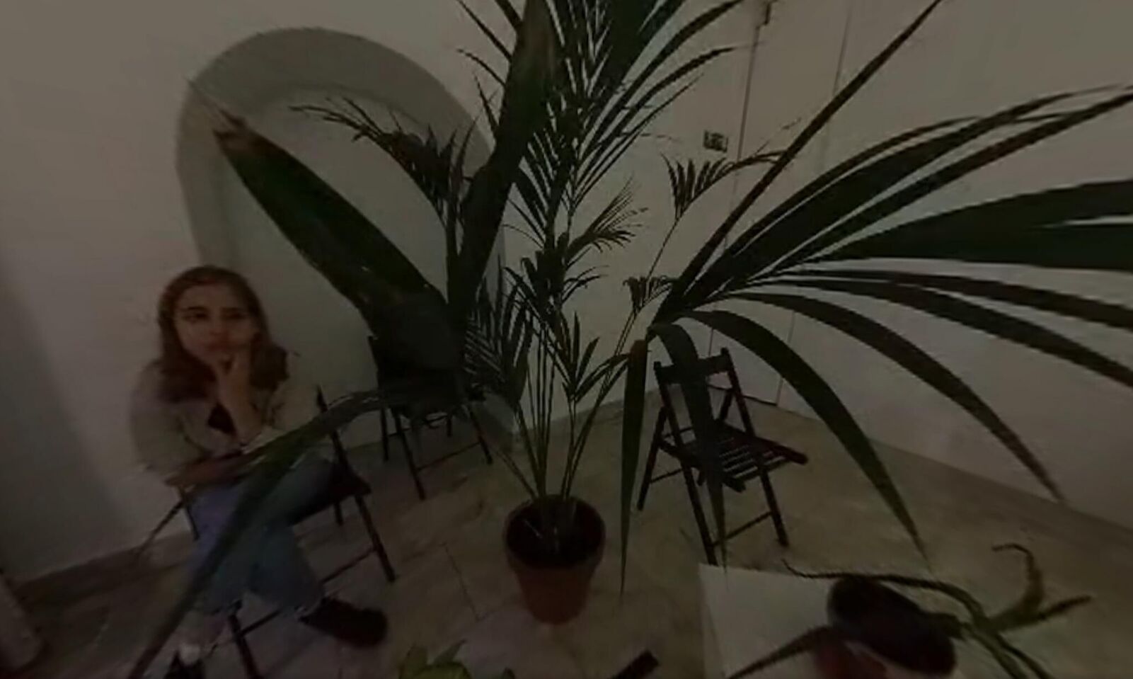 Galeriebild des Projekts Svan/Nectar 