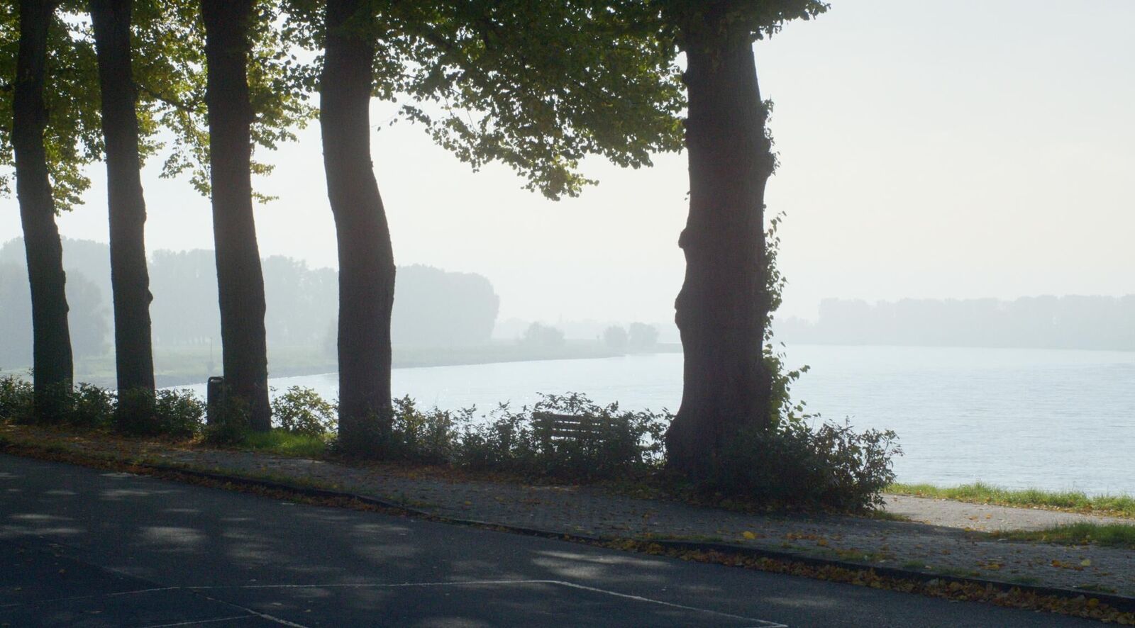 Galeriebild des Projekts Tag am Fluss