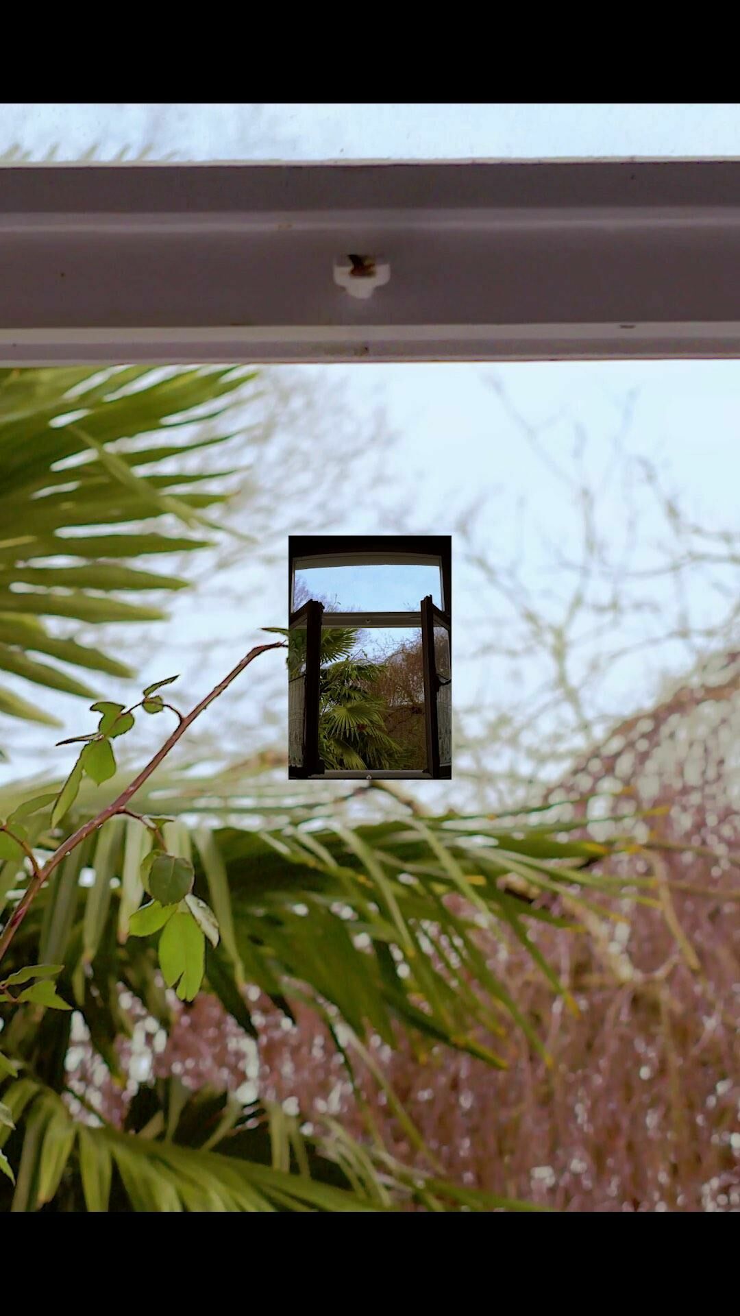 Galeriebild des Projekts Public Space Video im Hbf Köln