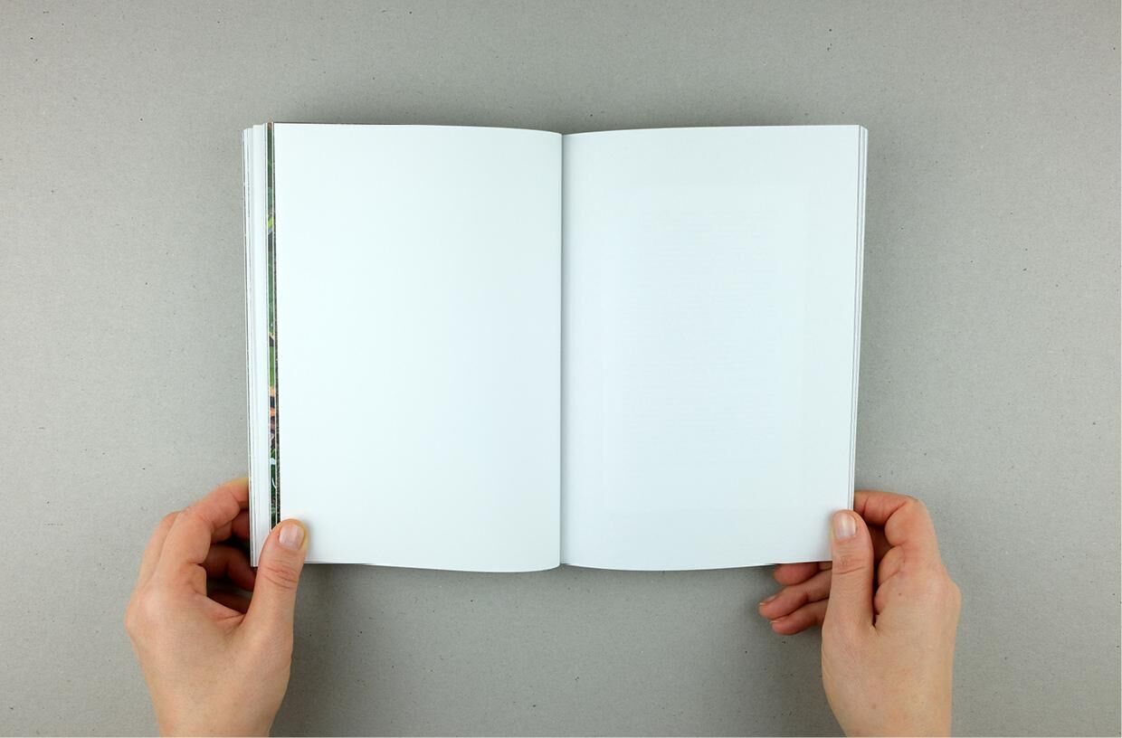 Galeriebild des Projekts Ich könnte fortgehen Roman