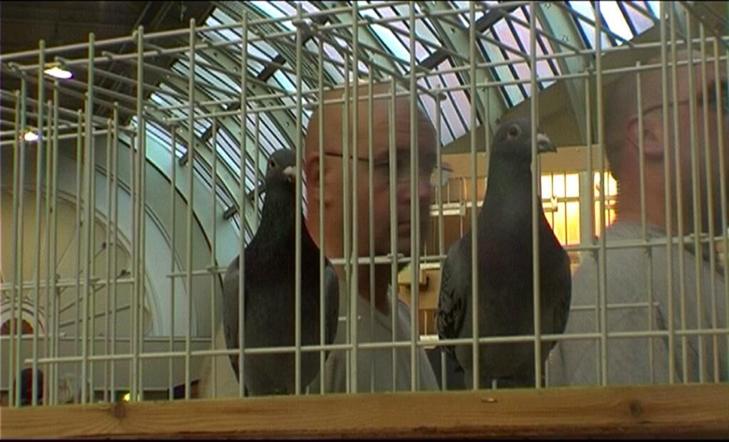 Galeriebild des Projekts I think you‘ve got to go there