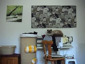 Galeriebild des Projekts Rocky 