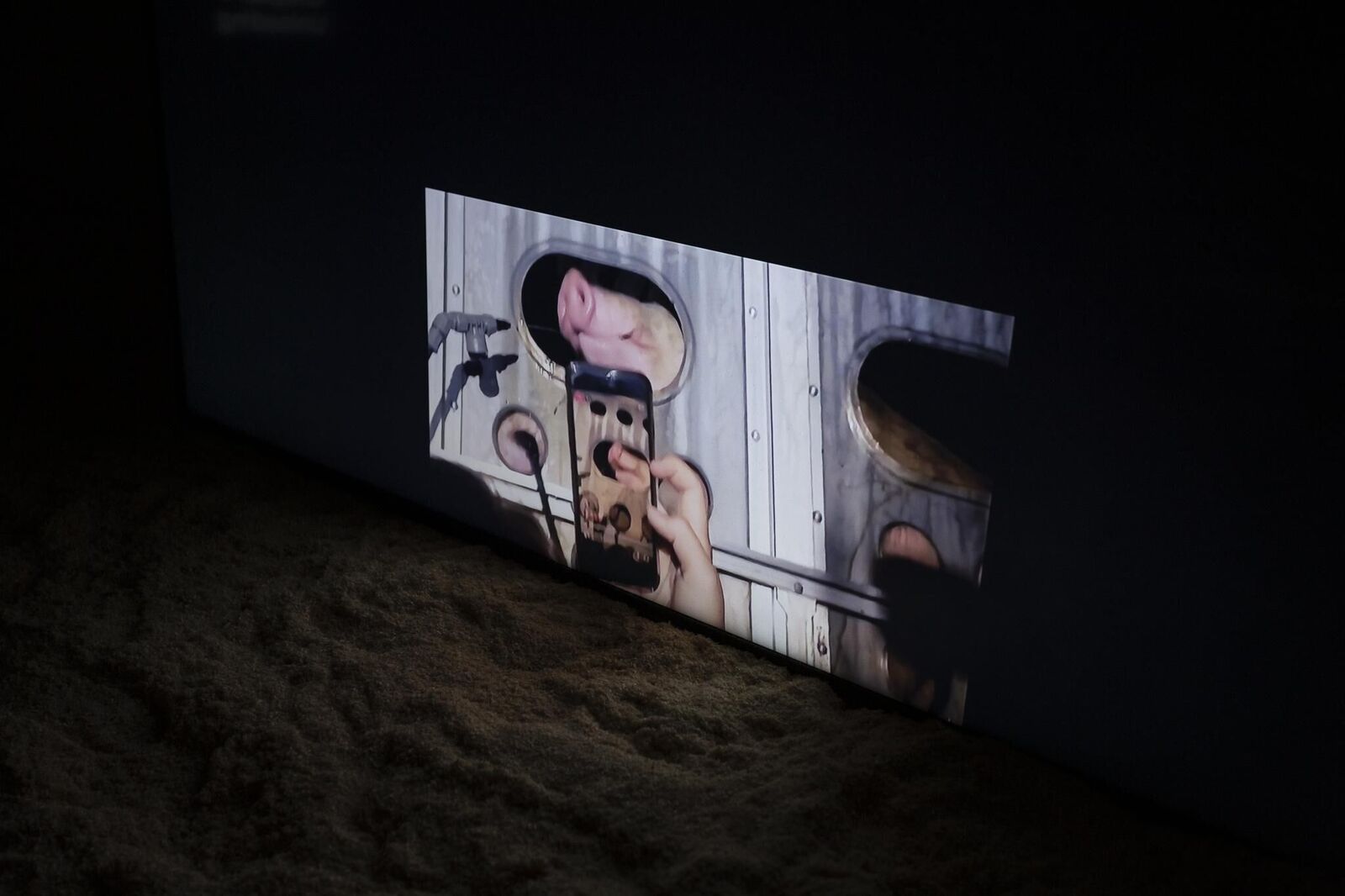 Galeriebild des Projekts Live Stock / Live Animals