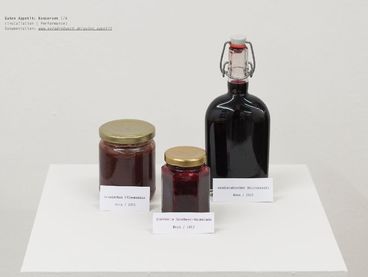 Vera Drebusch: Konserven, 2012, Installation