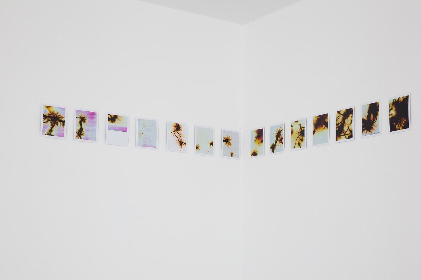 Galeriebild des Projekts Authority Can Appear As A Cosmic Nebula 