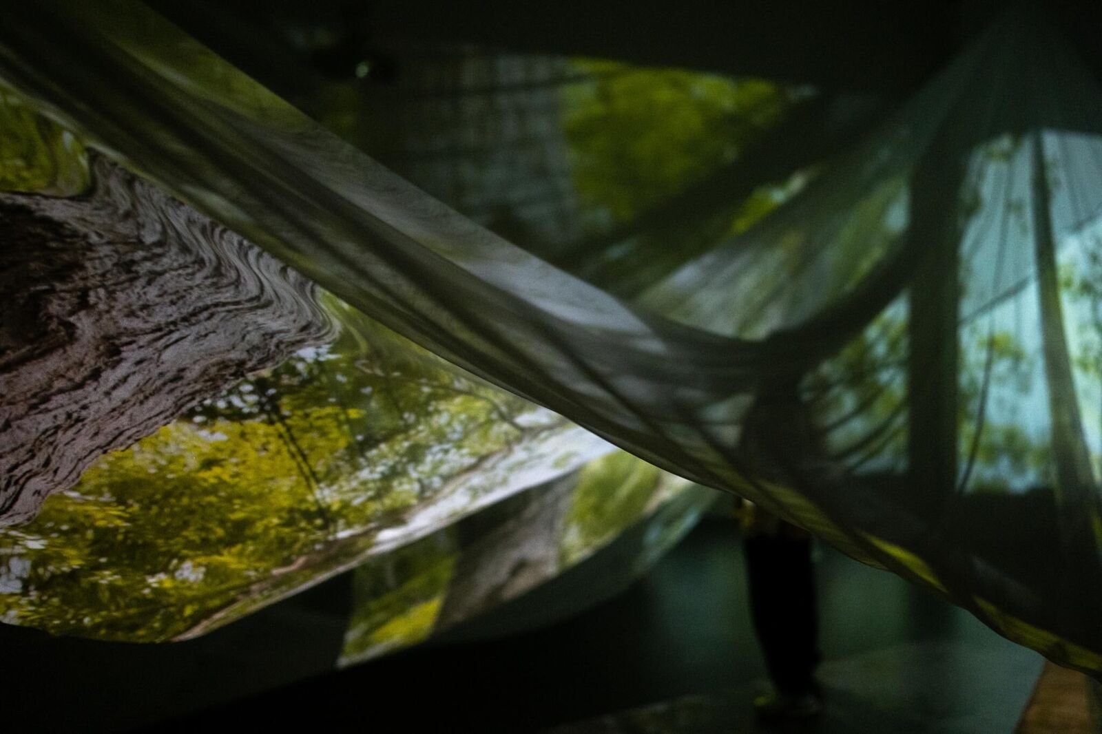 Galeriebild des Projekts Crimson Sap Flowing Through My Veins