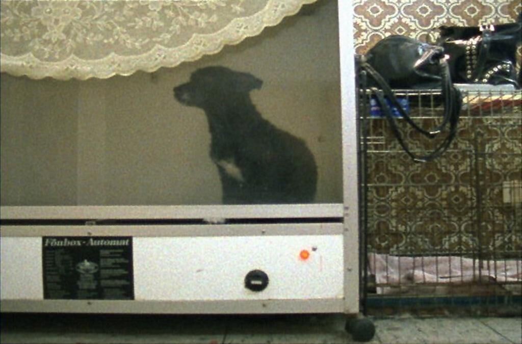 Titelbild des Projekts Salon Toxi