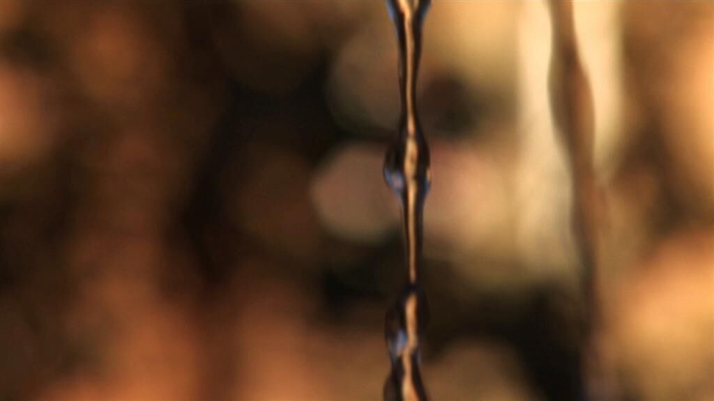 Galeriebild des Projekts Palomafuente 