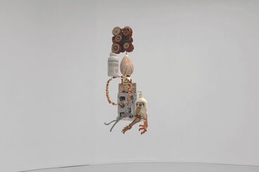 Galeriebild des Projekts The Invisible Warbler