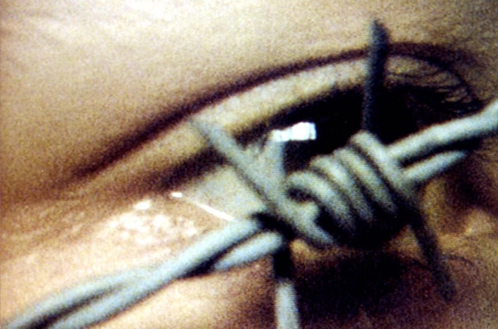 Titelbild des Projekts Bodies & Borders