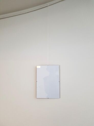 Galeriebild des Projekts Körper und Blumen