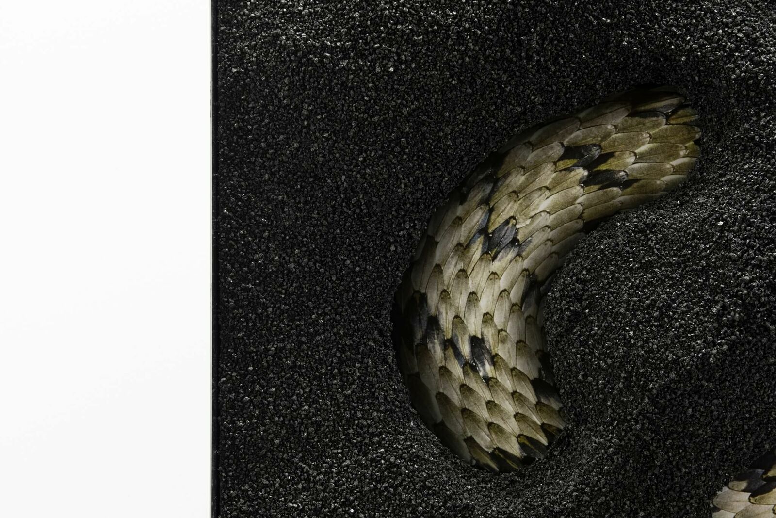 Galeriebild des Projekts I OWN A CASTLE