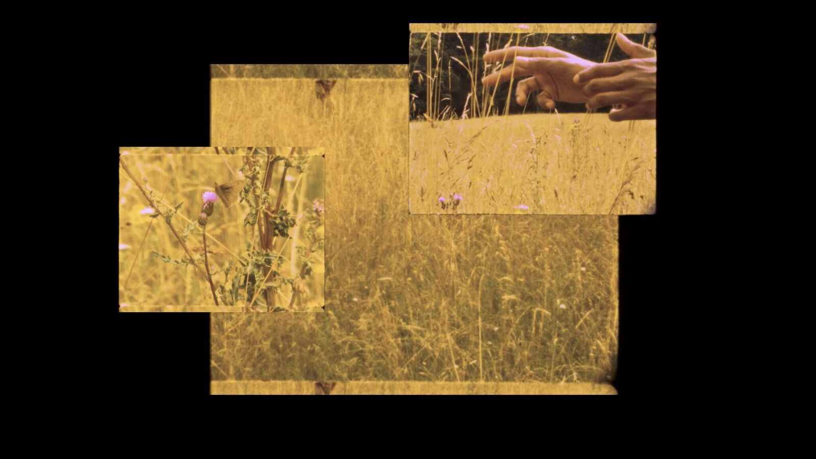Titelbild des Projekts An-Beten