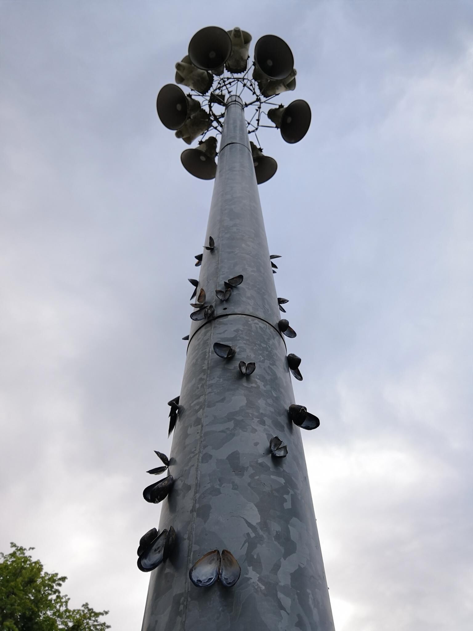 Galeriebild des Projekts I pretend that I belong here