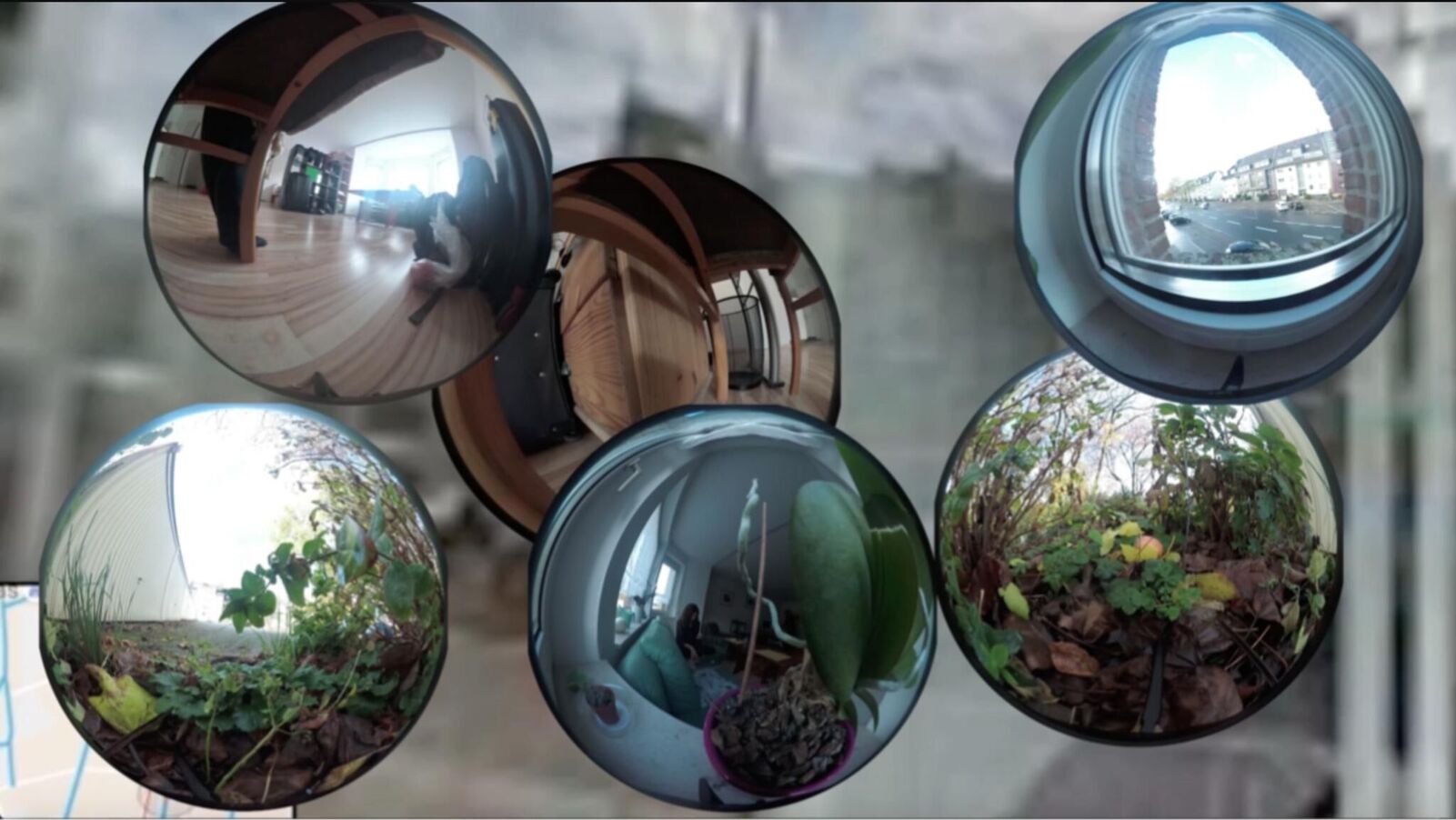 Galeriebild des Projekts Never home alone 