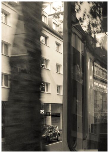 FALSE SPRING Galeriebild des Projekts FALSE SPRING