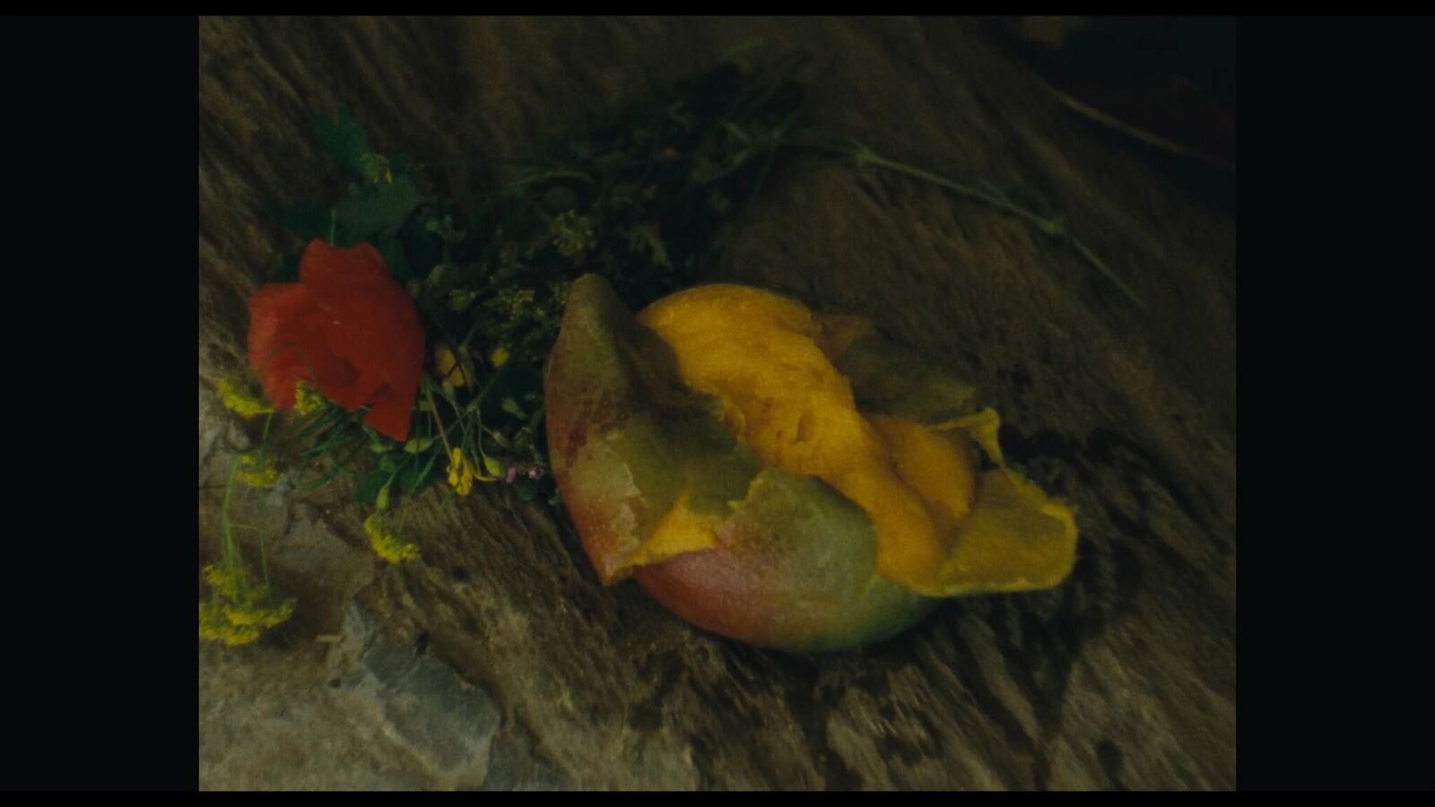 Galeriebild des Projekts Herkules