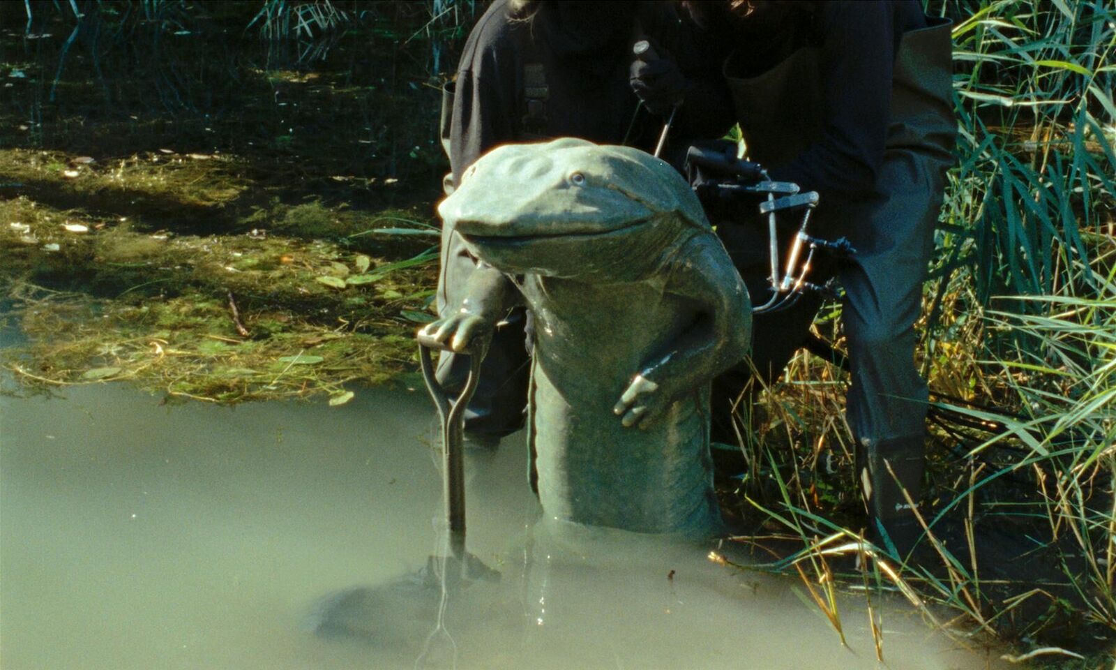 Galeriebild des Projekts Der Molchkongress