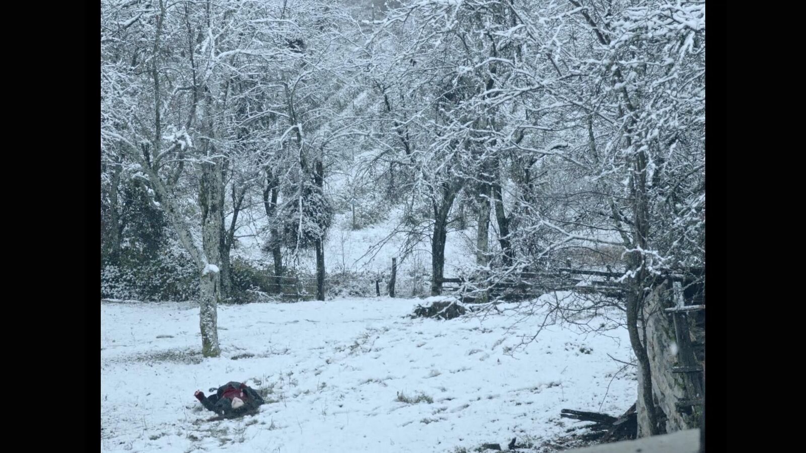 Galeriebild des Projekts On the other side of the pillow a rose was blossoming