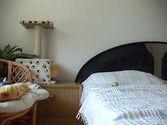 Titelbild des Projekts Rocky 