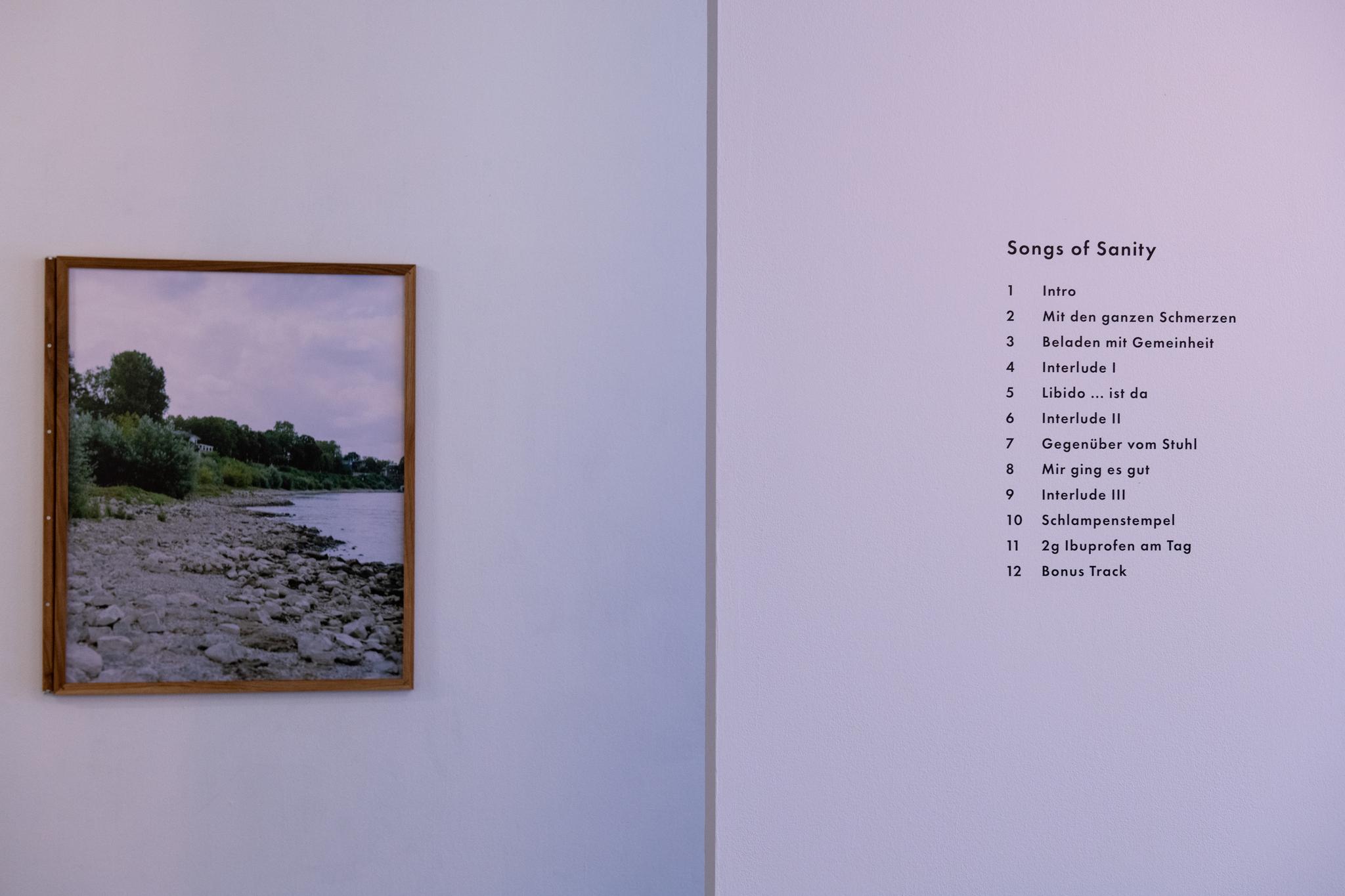 Galeriebild des Projekts Songs of Sanity