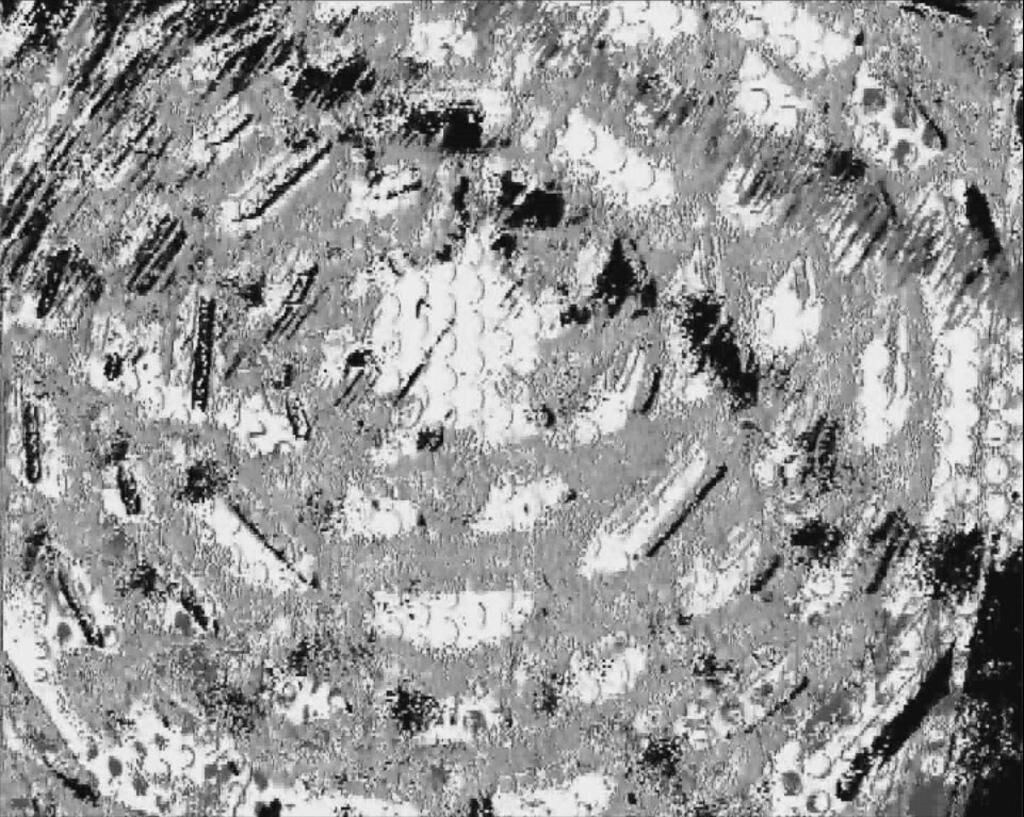 Galeriebild des Projekts rippled