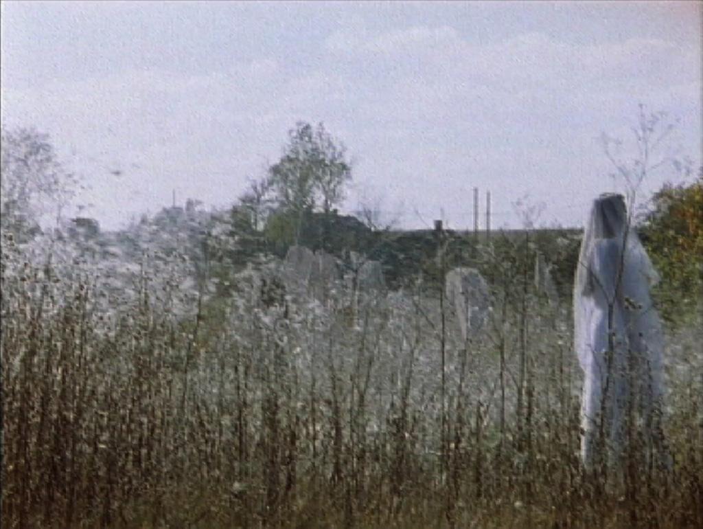 Titelbild des Projekts Tschernobyl Herbst