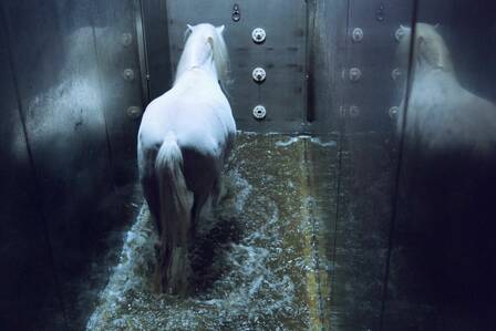 © Muriel Toulemonde