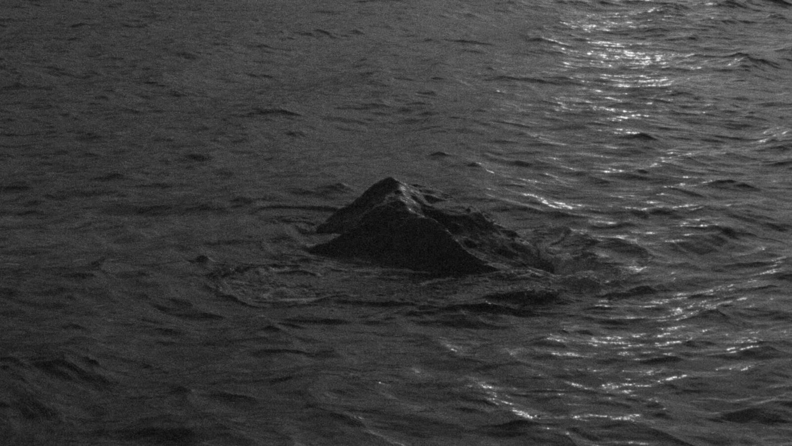 Galeriebild des Projekts In die Sonne blicken