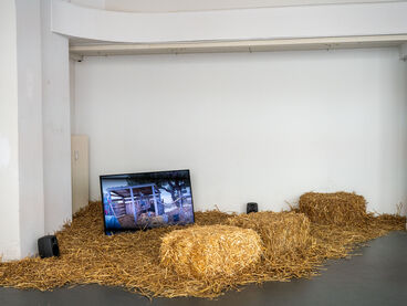 Lea Dinger, New Compost Here