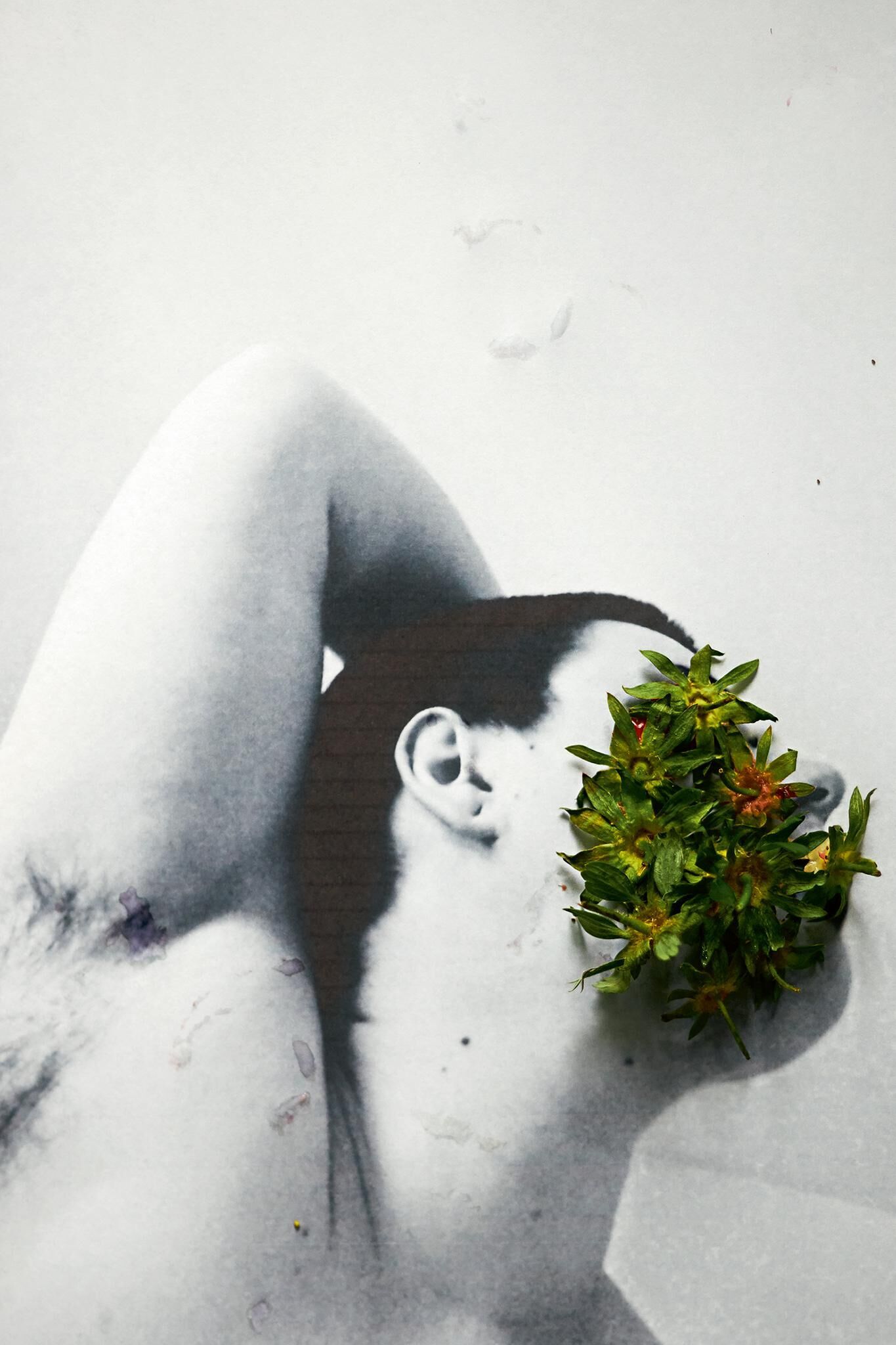 Galeriebild des Projekts Innenleben