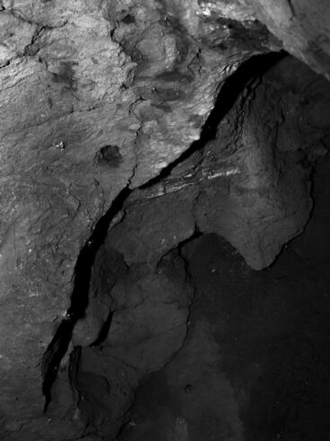 Galeriebild des Projekts Given enough eyeballs, all bugs are shallow