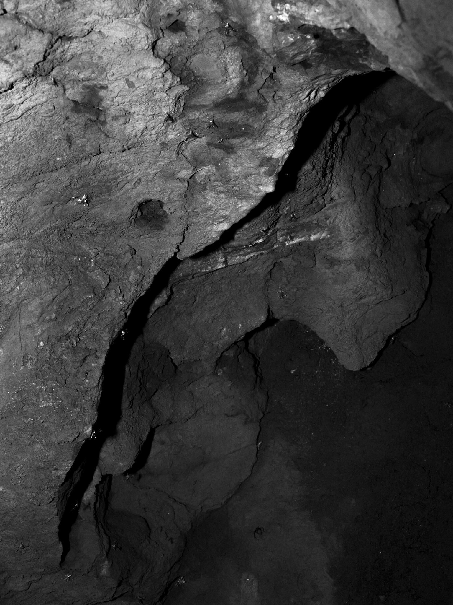 Galeriebild des Projekts Given enough eyeballs, all bugs are shallow