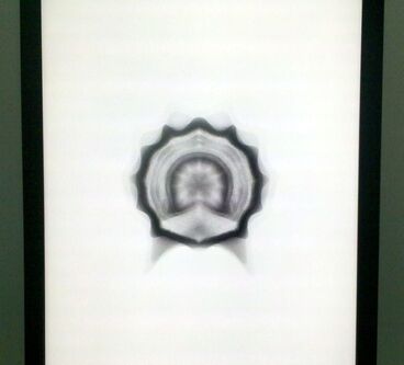 Symmetrisches Wesen (einer Punktwolke) Galeriebild des Projekts Symmetrisches Wesen (einer Punktwolke)