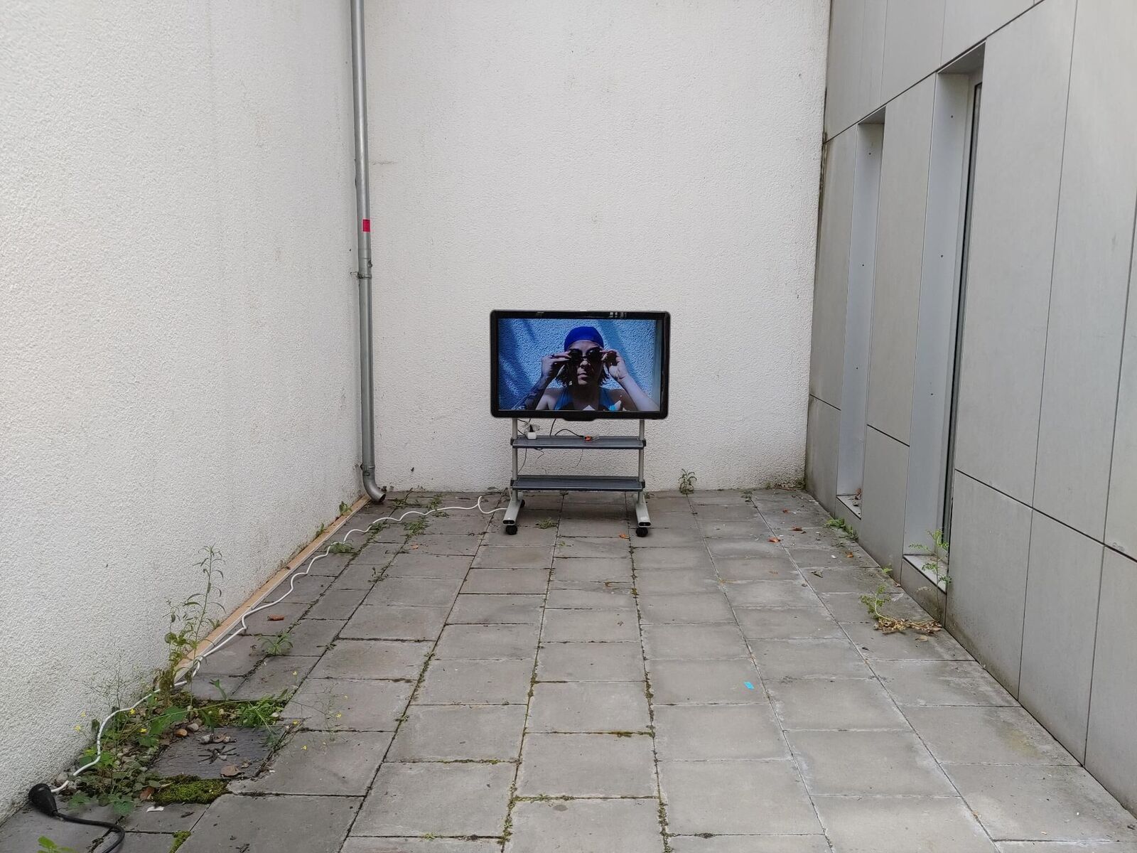 Titelbild des Projekts Swim Team Practice