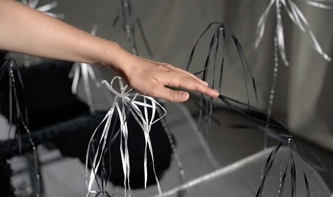 Galeriebild des Projekts Permanent planting