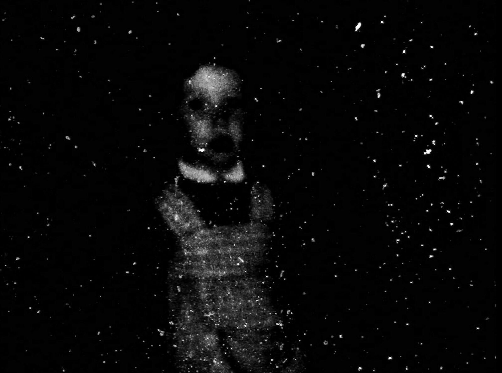 Titelbild des Projekts ghosting mother 